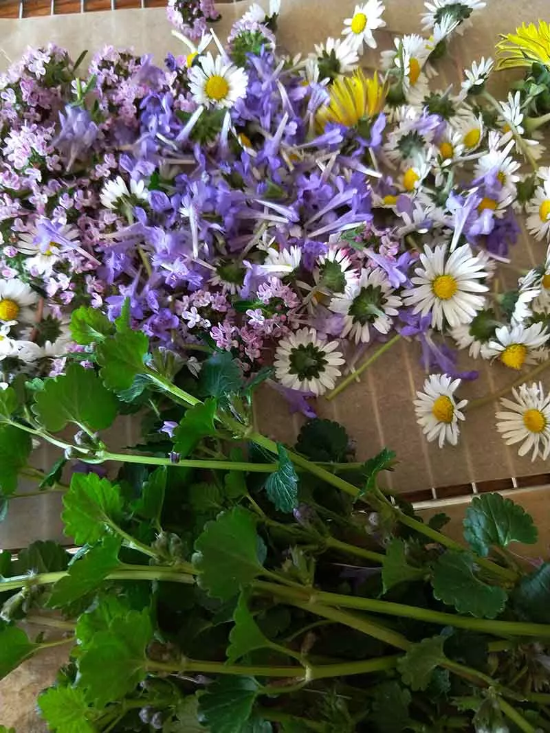 Alles neu macht der Mai